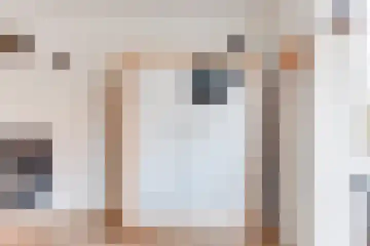 Dorsvlegel 31 Warmenhuizen thumbnail 26