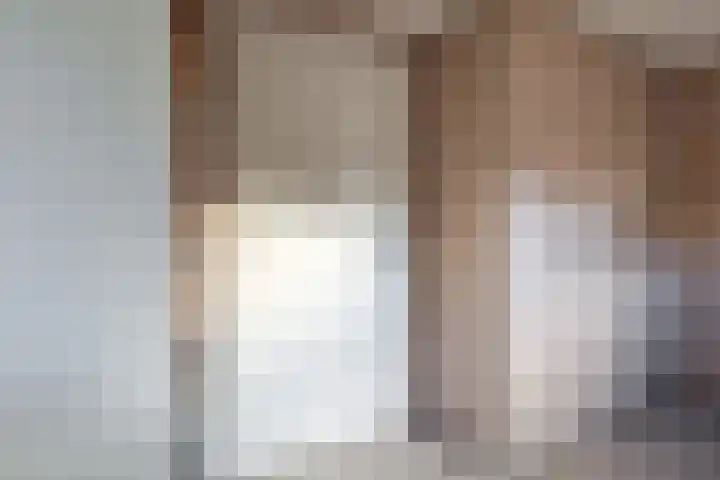 Dorsvlegel 31 Warmenhuizen thumbnail 28