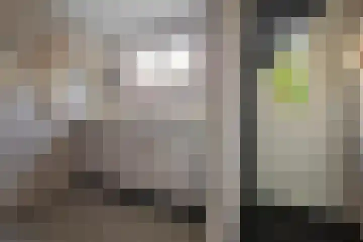 Dorsvlegel 31 Warmenhuizen thumbnail 29