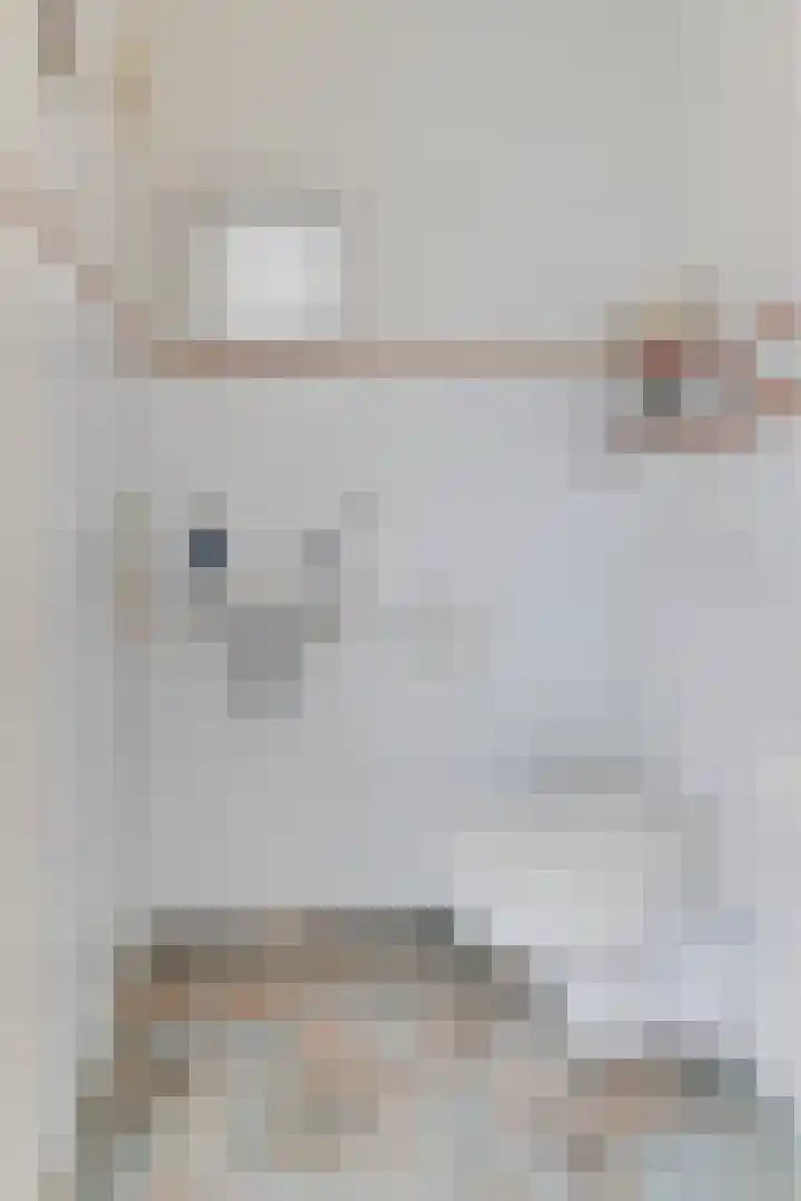 Dorsvlegel 31 Warmenhuizen thumbnail 30