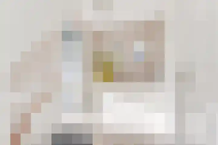 Dorsvlegel 31 Warmenhuizen thumbnail 31