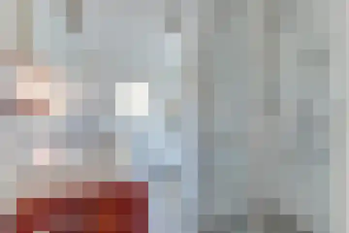 Dorsvlegel 31 Warmenhuizen thumbnail 36