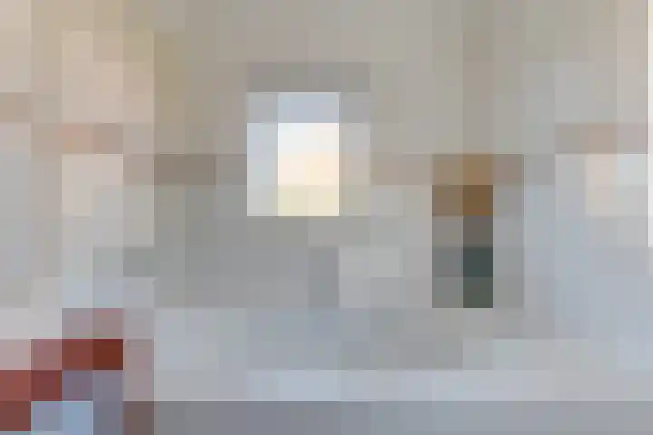 Dorsvlegel 31 Warmenhuizen thumbnail 37