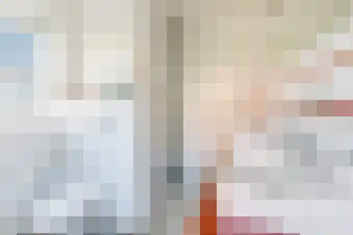 Dorsvlegel 31 Warmenhuizen thumbnail 39