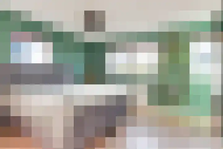 Dorsvlegel 31 Warmenhuizen thumbnail 41