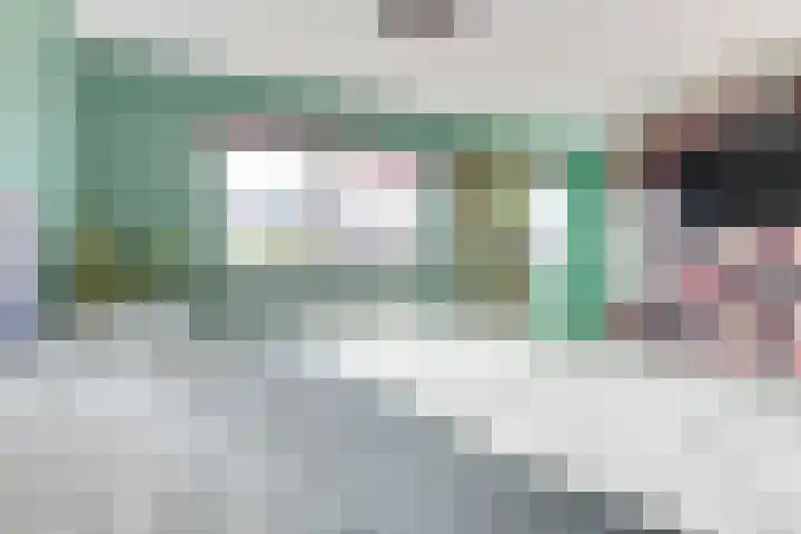 Dorsvlegel 31 Warmenhuizen thumbnail 42