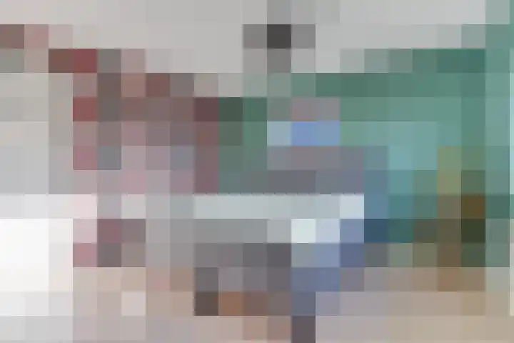 Dorsvlegel 31 Warmenhuizen thumbnail 44