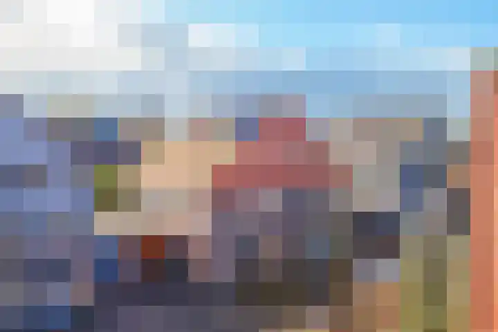Dorsvlegel 31 Warmenhuizen thumbnail 5