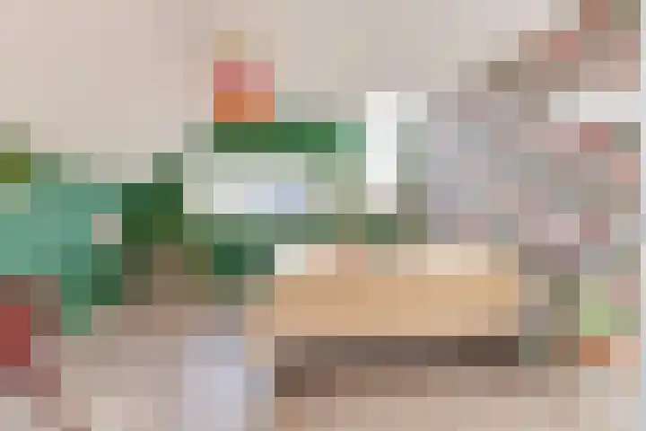 Dorsvlegel 31 Warmenhuizen thumbnail 54