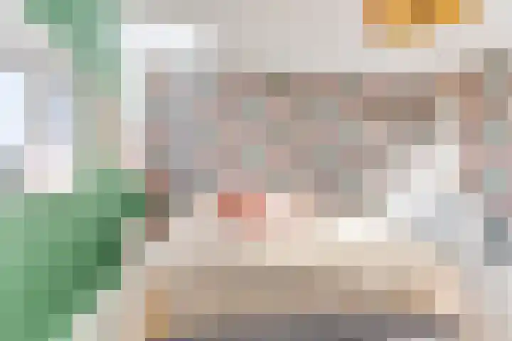 Dorsvlegel 31 Warmenhuizen thumbnail 56