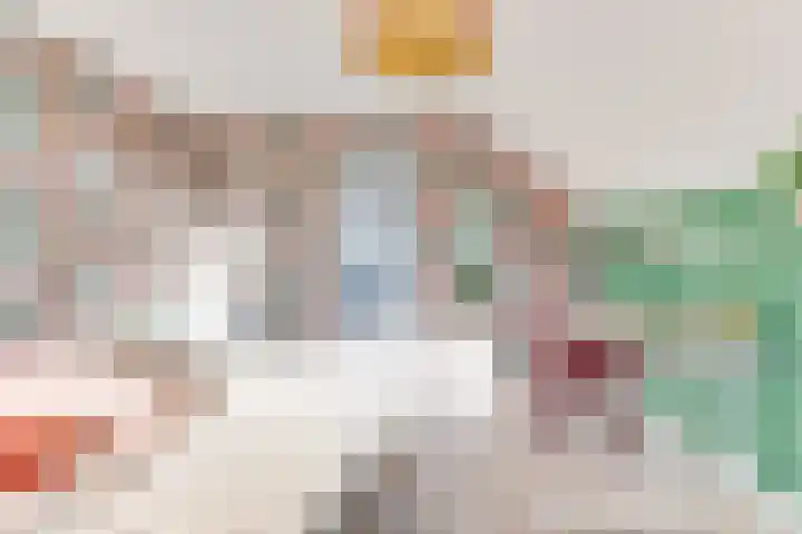 Dorsvlegel 31 Warmenhuizen thumbnail 58