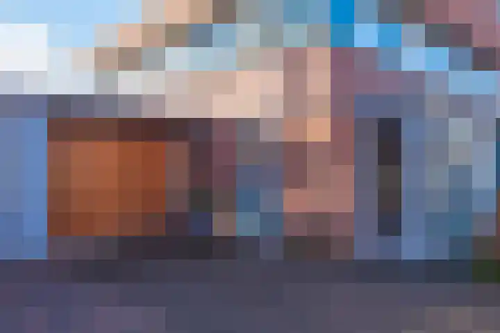 Dorsvlegel 31 Warmenhuizen thumbnail 6