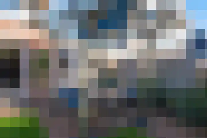 Dorsvlegel 31 Warmenhuizen thumbnail 61