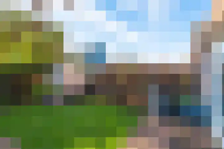 Dorsvlegel 31 Warmenhuizen thumbnail 62