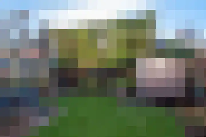 Dorsvlegel 31 Warmenhuizen thumbnail 63