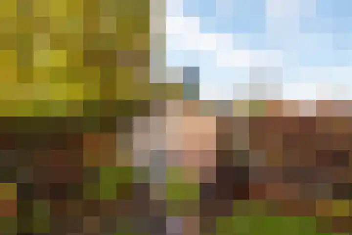 Dorsvlegel 31 Warmenhuizen thumbnail 65