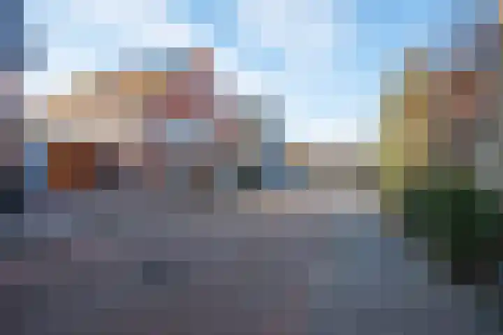 Dorsvlegel 31 Warmenhuizen thumbnail 67