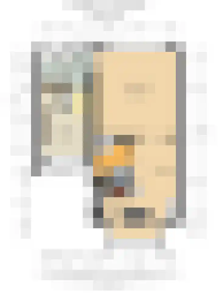 Dorsvlegel 31 Warmenhuizen thumbnail 69