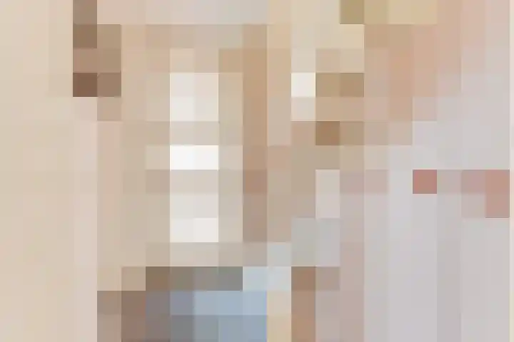 Dorsvlegel 31 Warmenhuizen thumbnail 7