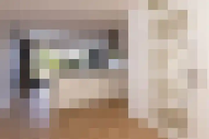 Dorsvlegel 36 Bovenkarspel thumbnail 16