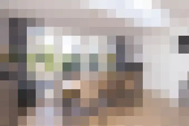 Dorsvlegel 36 Bovenkarspel thumbnail 18