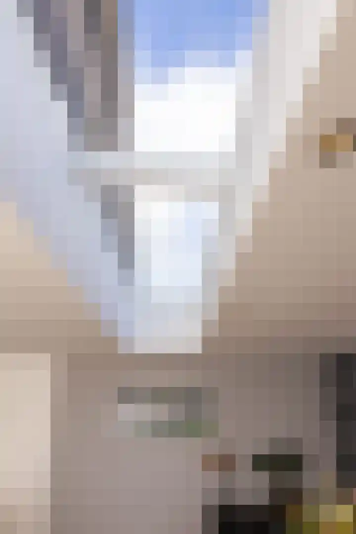 Dorsvlegel 36 Bovenkarspel thumbnail 19