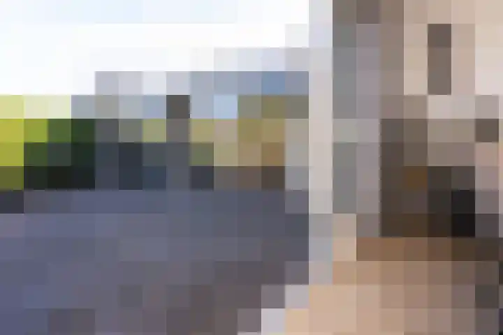 Dorsvlegel 36 Bovenkarspel thumbnail 20
