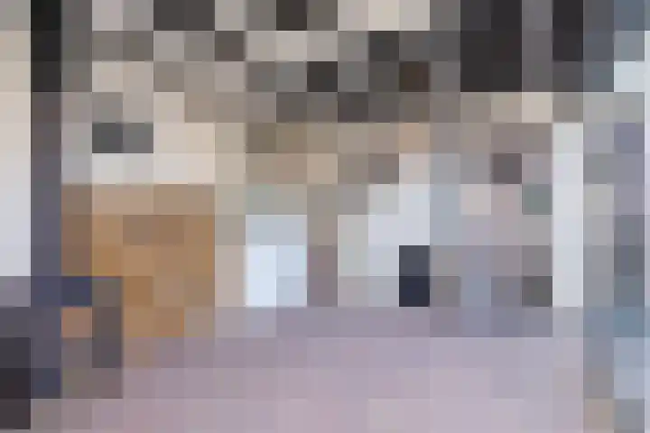 Dorsvlegel 36 Bovenkarspel thumbnail 22