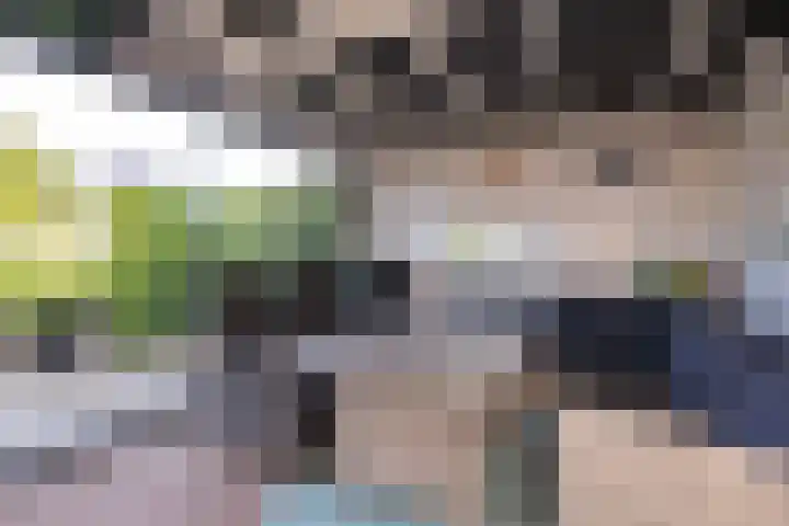 Dorsvlegel 36 Bovenkarspel thumbnail 23