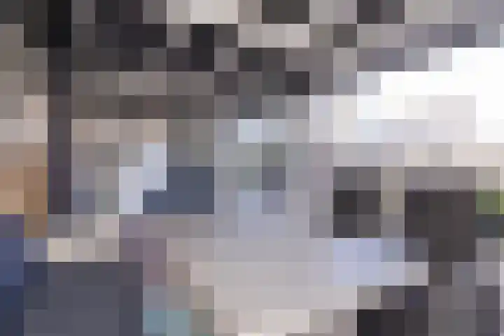 Dorsvlegel 36 Bovenkarspel thumbnail 24