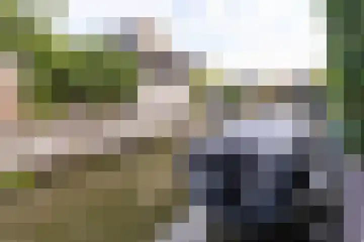 Dorsvlegel 36 Bovenkarspel thumbnail 25