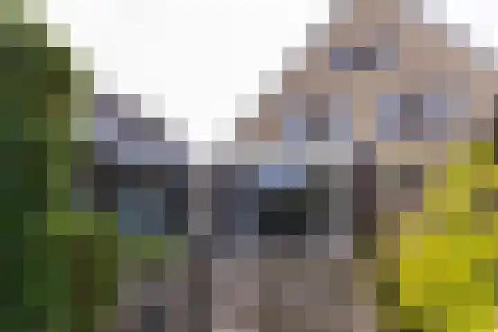 Dorsvlegel 36 Bovenkarspel thumbnail 26