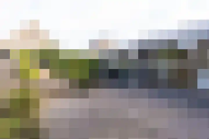 Dorsvlegel 36 Bovenkarspel thumbnail 27
