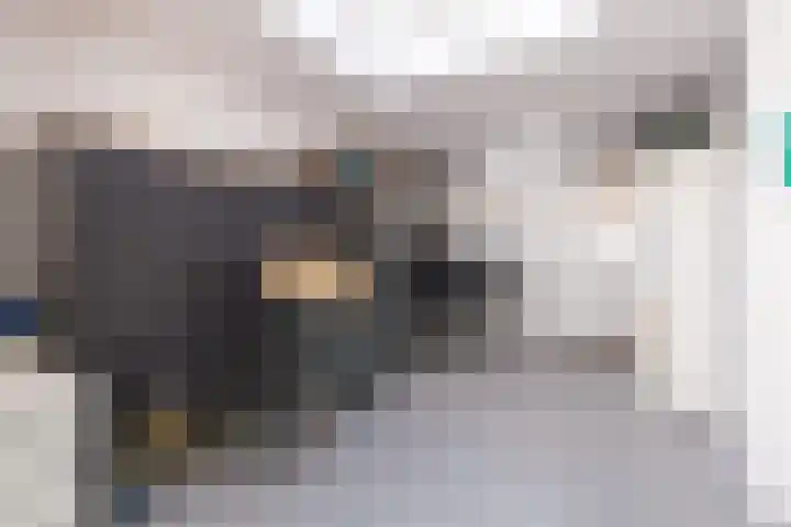 Dorsvlegel 36 Bovenkarspel thumbnail 28