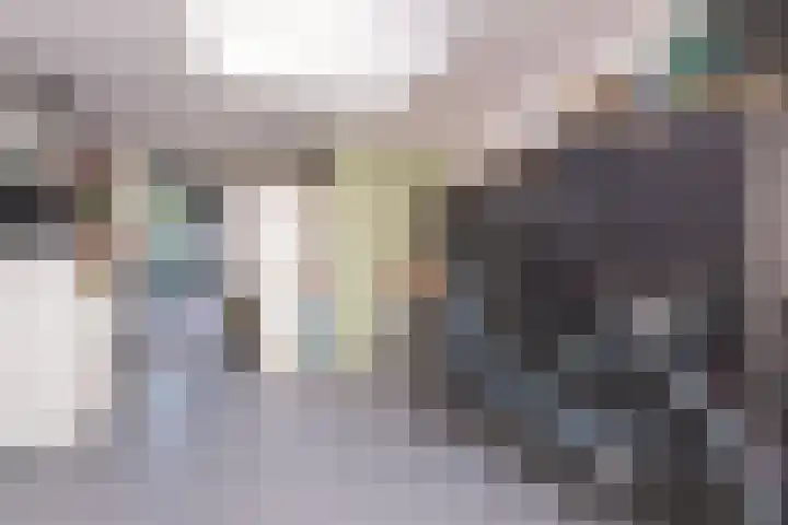 Dorsvlegel 36 Bovenkarspel thumbnail 29