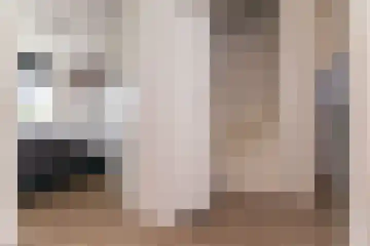 Dorsvlegel 36 Bovenkarspel thumbnail 30