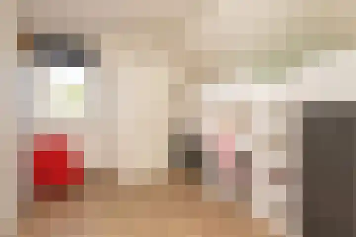 Dorsvlegel 36 Bovenkarspel thumbnail 31