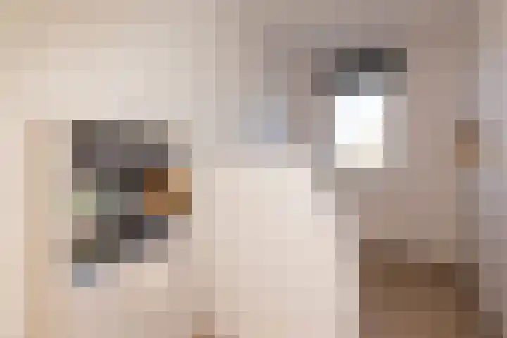 Dorsvlegel 36 Bovenkarspel thumbnail 33