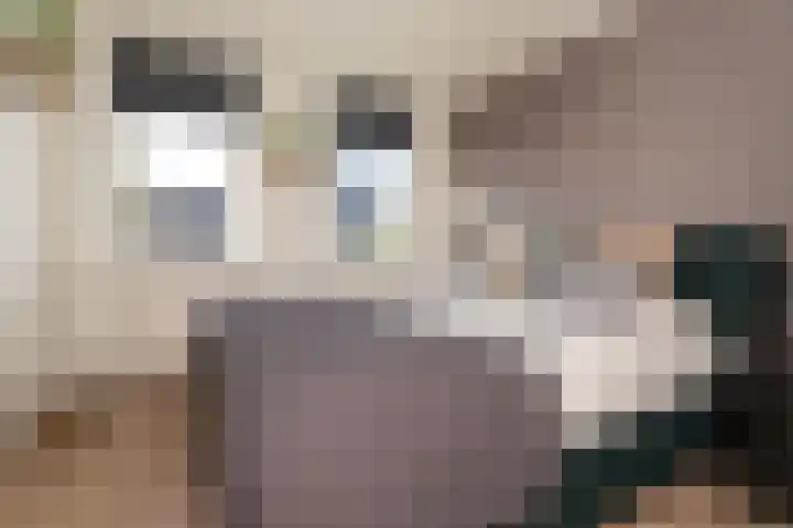 Dorsvlegel 36 Bovenkarspel thumbnail 35