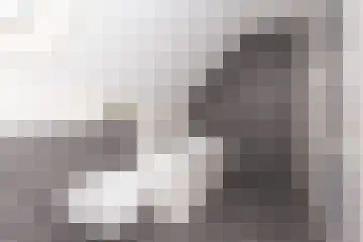 Dorsvlegel 36 Bovenkarspel thumbnail 37