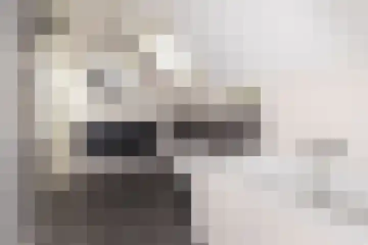 Dorsvlegel 36 Bovenkarspel thumbnail 38