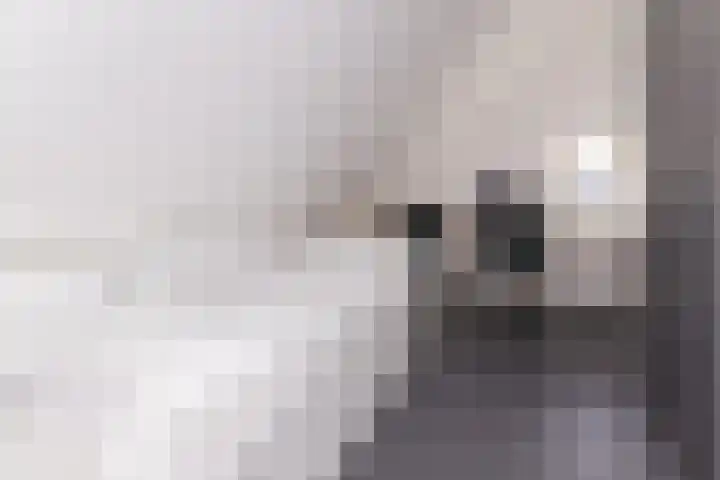 Dorsvlegel 36 Bovenkarspel thumbnail 39