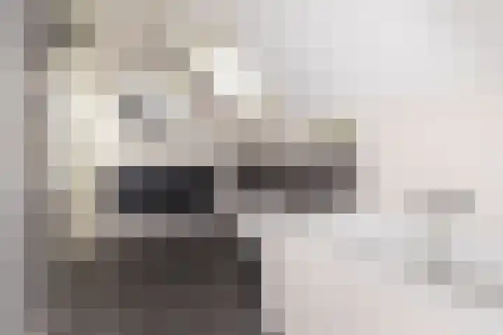 Dorsvlegel 36 Bovenkarspel thumbnail 4