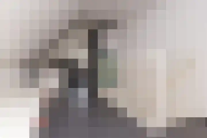 Dorsvlegel 36 Bovenkarspel thumbnail 40