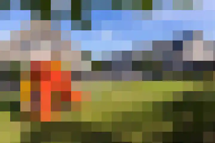 Dorsvlegel 36 Bovenkarspel thumbnail 6