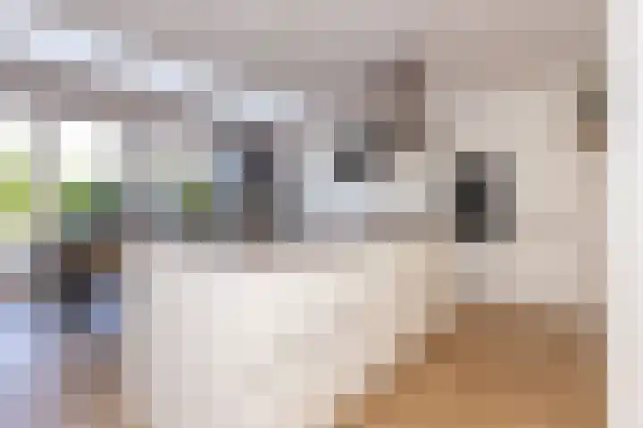 Dorsvlegel 36 Bovenkarspel thumbnail 7