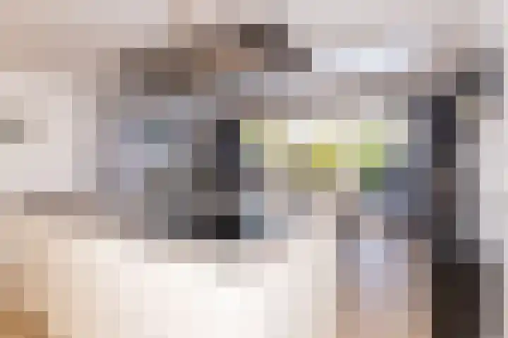 Dorsvlegel 36 Bovenkarspel thumbnail 9