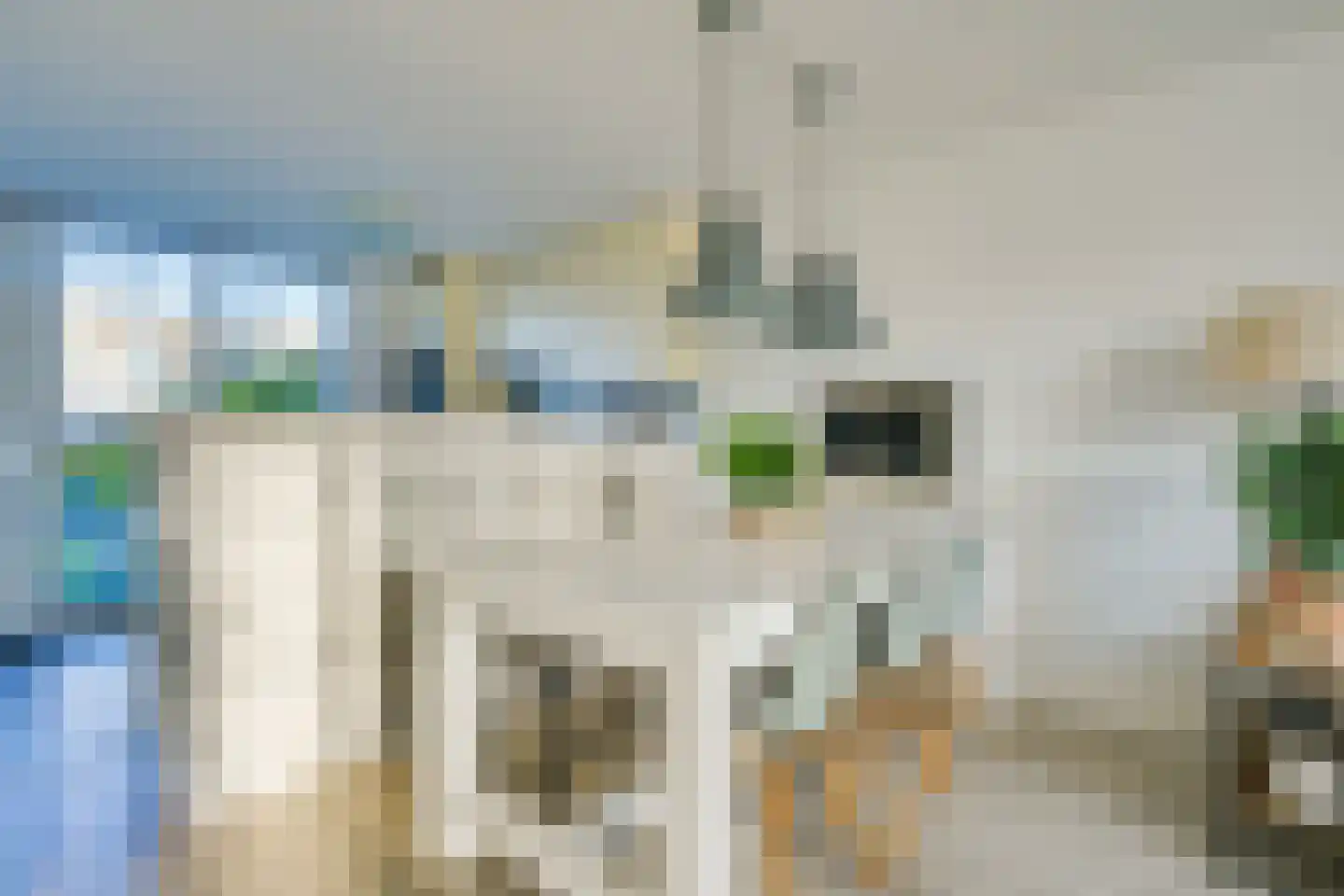 Dorsvlegel 36 Warmenhuizen thumbnail 13