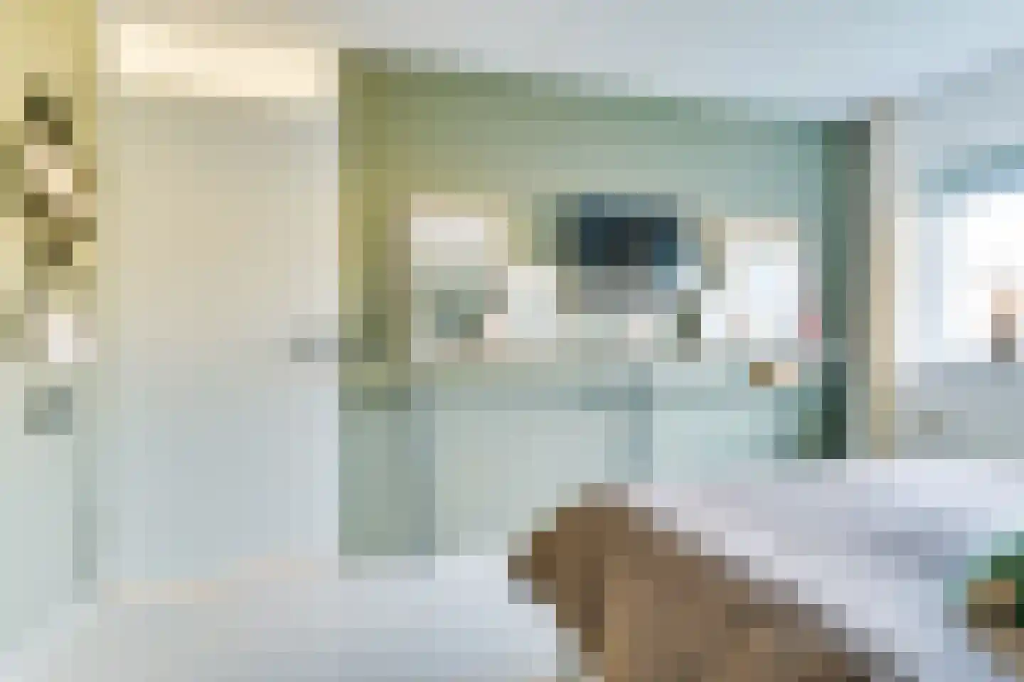 Dorsvlegel 36 Warmenhuizen thumbnail 20