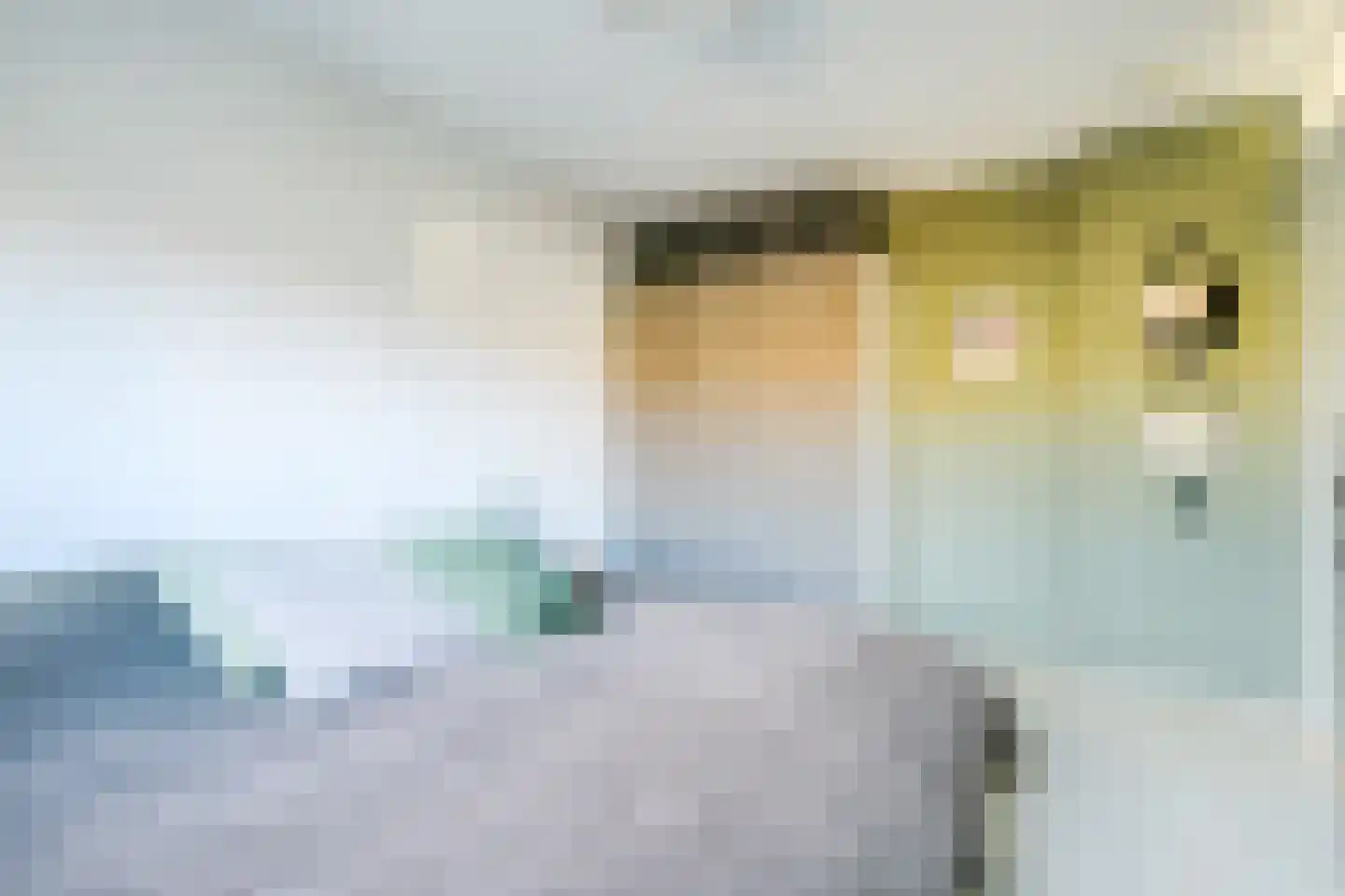 Dorsvlegel 36 Warmenhuizen thumbnail 21
